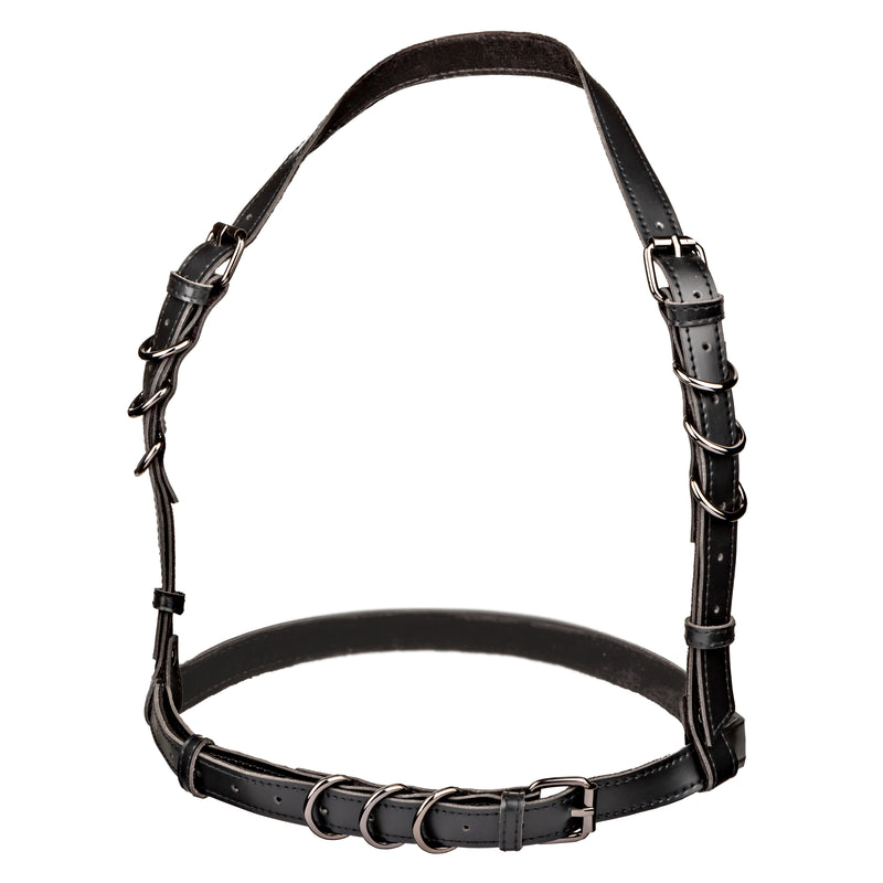 "Euphoria Collection Halter Buckle Harness - Black SE3101053"