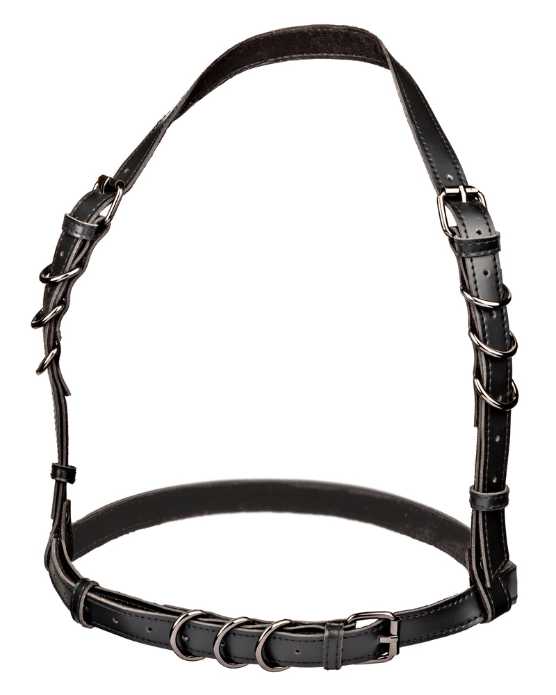 "Euphoria Collection Halter Buckle Harness - Black SE3101053"