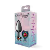 Cheeky Charms-Gunmetal Metal Butt Plug- Heart-Rainbow-Large