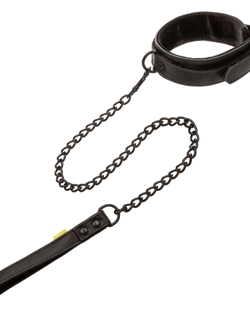 "Boundless Collar & Leash SE2702403"