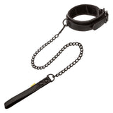 "Boundless Collar & Leash SE2702403"