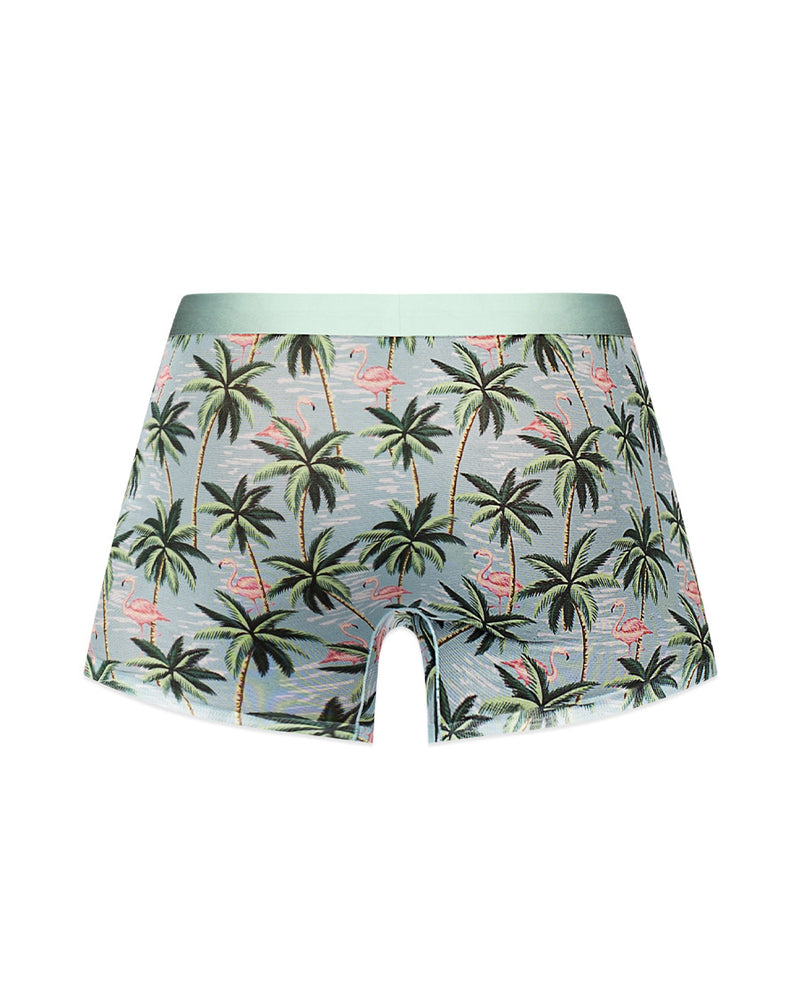 "Sheer Prints - Seamless Sheer Short - Small - Flamingo MP-SMS011FLSM"