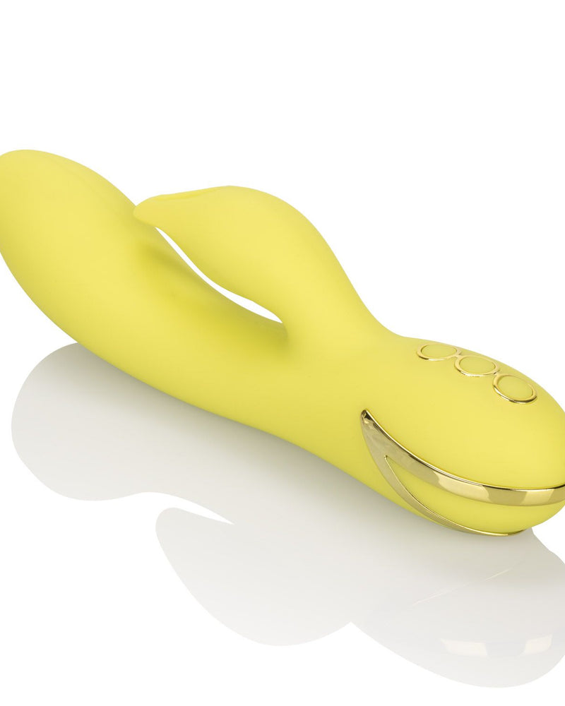 "California Dreaming Venice Vixen SE4350203"