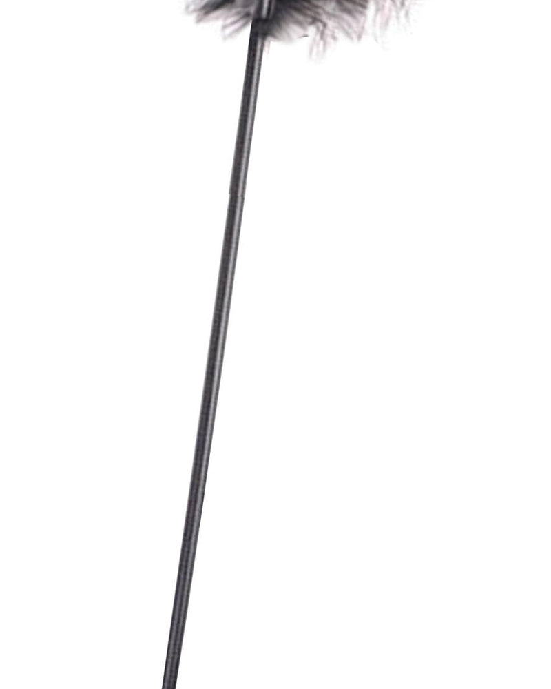 "Orange Is the New Black Riding Crop and Tickler ICB2531-2"