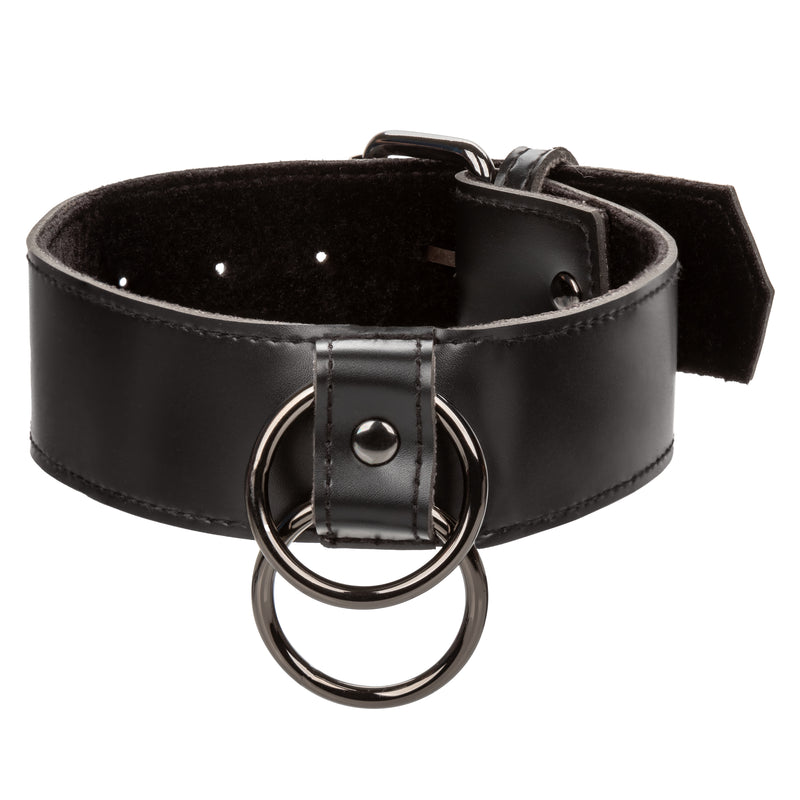 "Euphoria Collection Collar With Chain Leash - Black SE3100553"