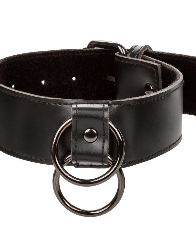 "Euphoria Collection Collar With Chain Leash - Black SE3100553"