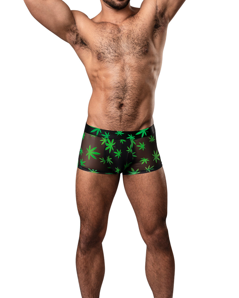 Hazy Dayz - Pouch Short - X-Large - Pot Leaf