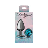 Cheeky Charms-Gunmetal Metal Butt Plug- Round-Teal-Large