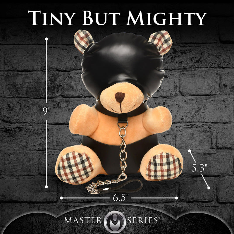 "Hooded Teddy Bear Plush MS-AH216"