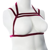 "Gender Fluid Sugar Coated Harness - Large/xxlarge - Raspberry GFL-H402"