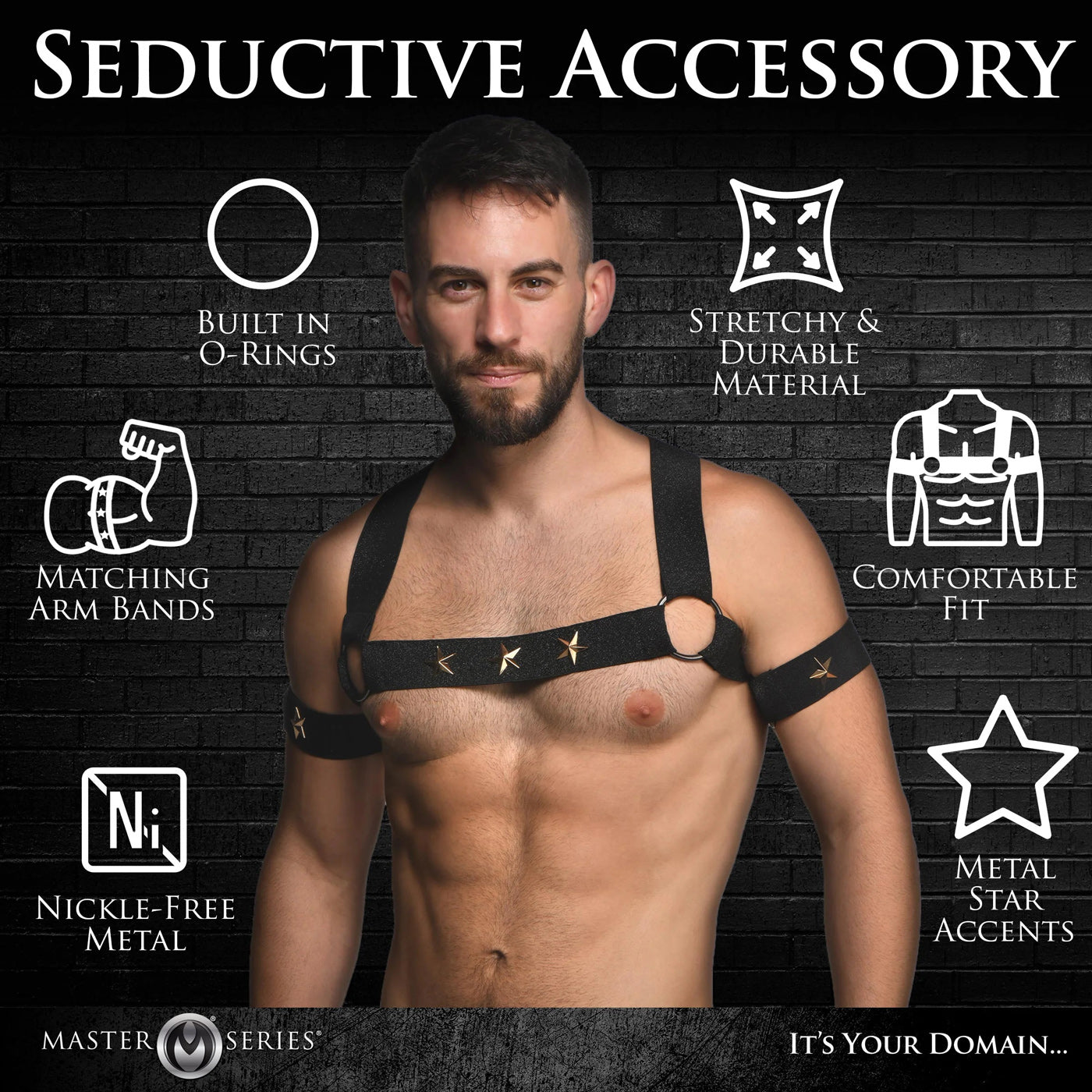 "Star Boy Male Chest Harness With Arm Bands - Large/xlarge - Black MS-AH332-LXL"