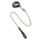 Euphoria Collection Collar With Chain Leash - Black