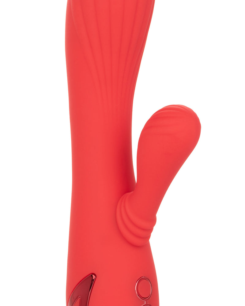 California Dreaming Palisades Passion - Coral