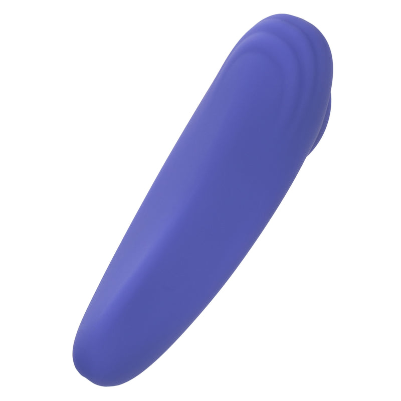 "Calexotics Connect Panty Teaser - Periwinkle SE0001053"