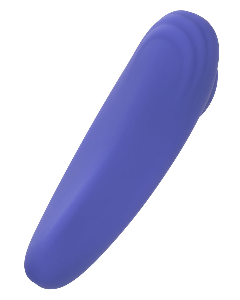 "Calexotics Connect Panty Teaser - Periwinkle SE0001053"
