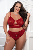 Cinnamon Red 2pc Satin Bra and High Waist Panty - Queen Size