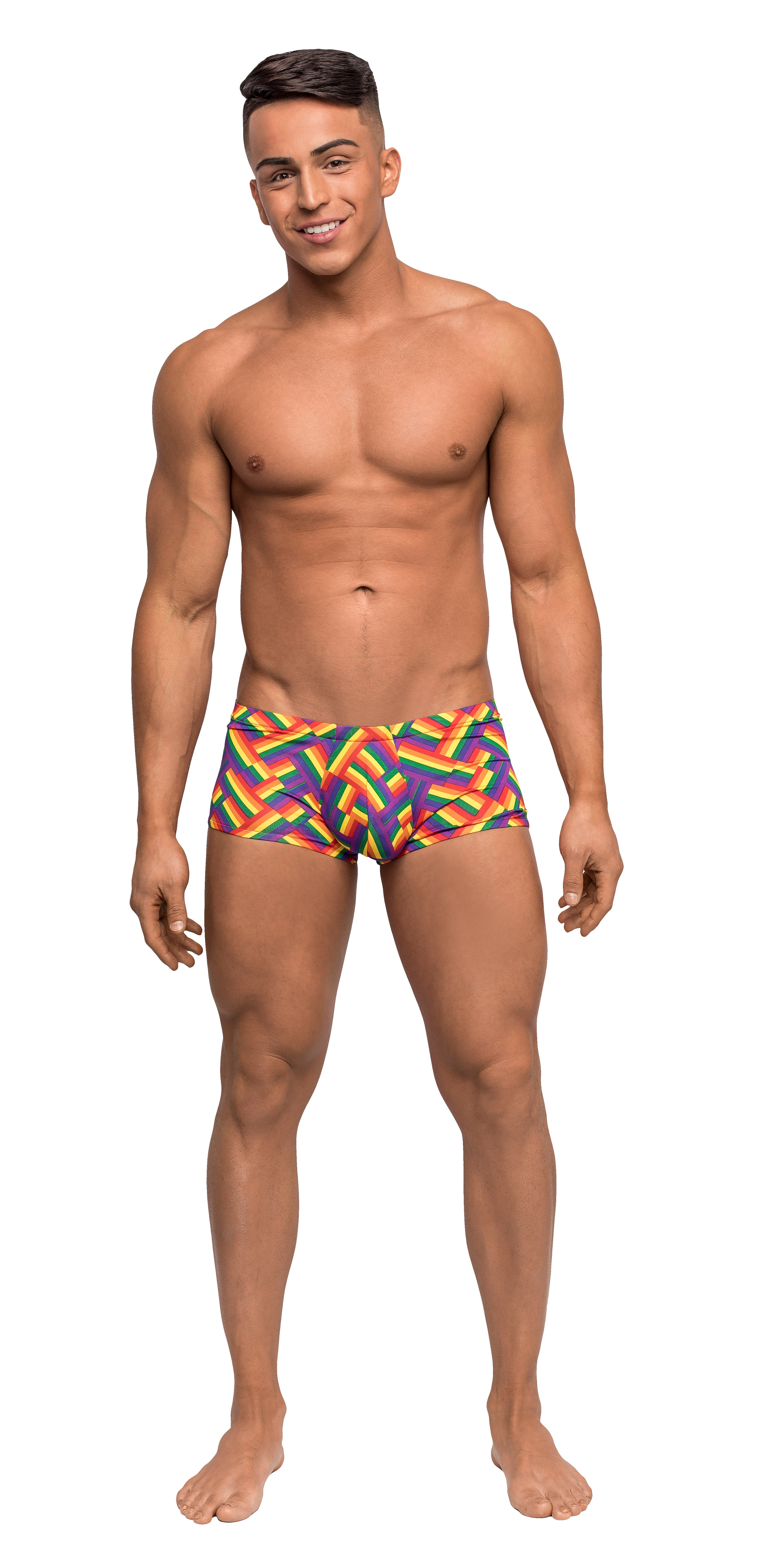 "Pride Fest - Mini Short - Large - Print MP-145240PRL"