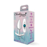 Cheeky Charms-Silver Metal Butt Plug Kit- Clear/teal