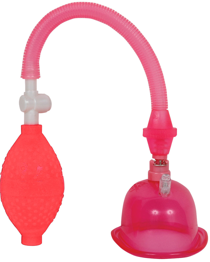 "Pussy Pump in a Bag - Pink DJ5006-02-BG"
