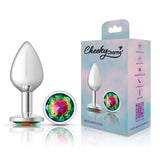 Cheeky Charms-Silver Metal Butt Plug- Round-Rainbow-Medium