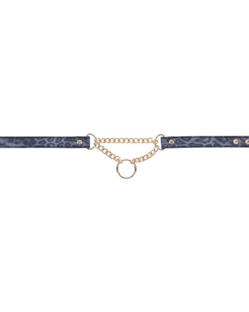 Cougar Day Collar