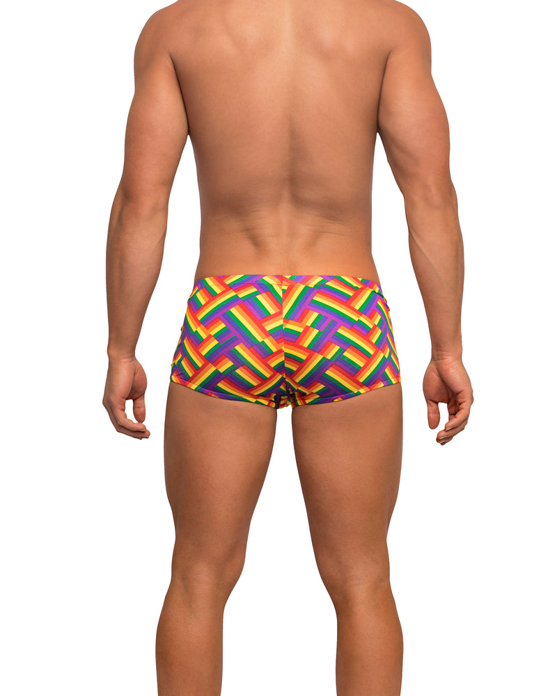 Pride Fest - Mini Short - Medium - Print