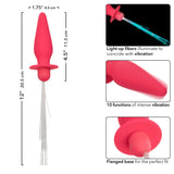 Southern Lights - Vibrating Light Up Anal Probe - Pink