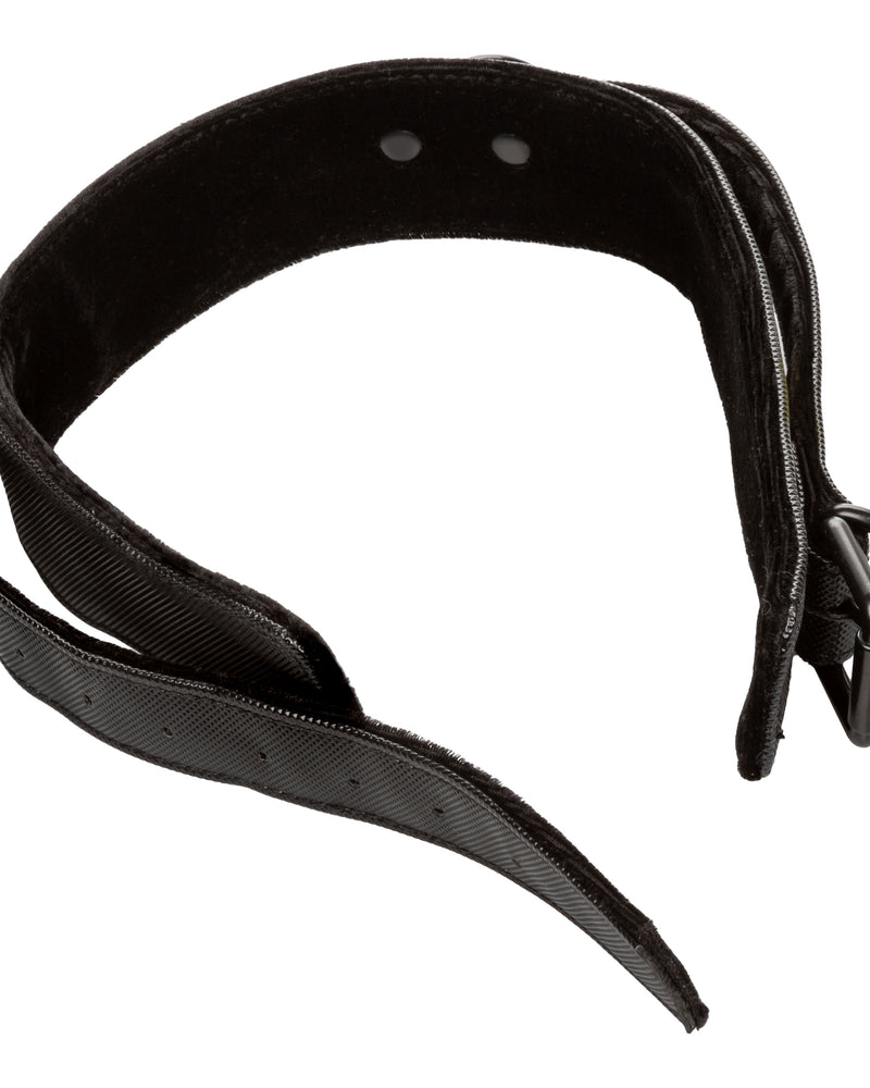 Boundless Collar & Leash