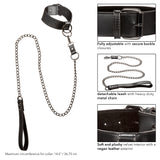 Euphoria Collection Collar With Chain Leash - Black