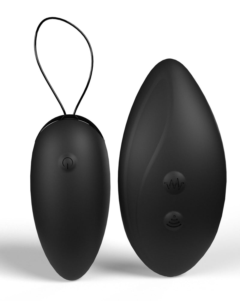 Premium Dual Vibe Remote and Egg - Black