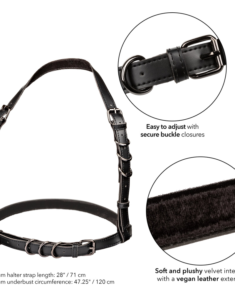 "Euphoria Collection Plus Size Halter Buckle Harness - Black SE3101063"