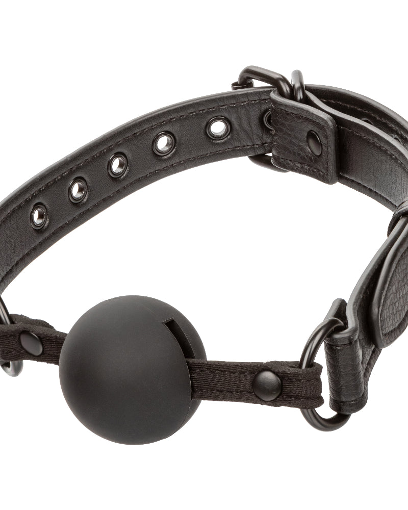 Nocturnal Collection Ball Gag - Black