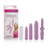 Dr. Laura Bernam Dilators - Set of 4 Locking Sizes Plus Sleeve - Purple